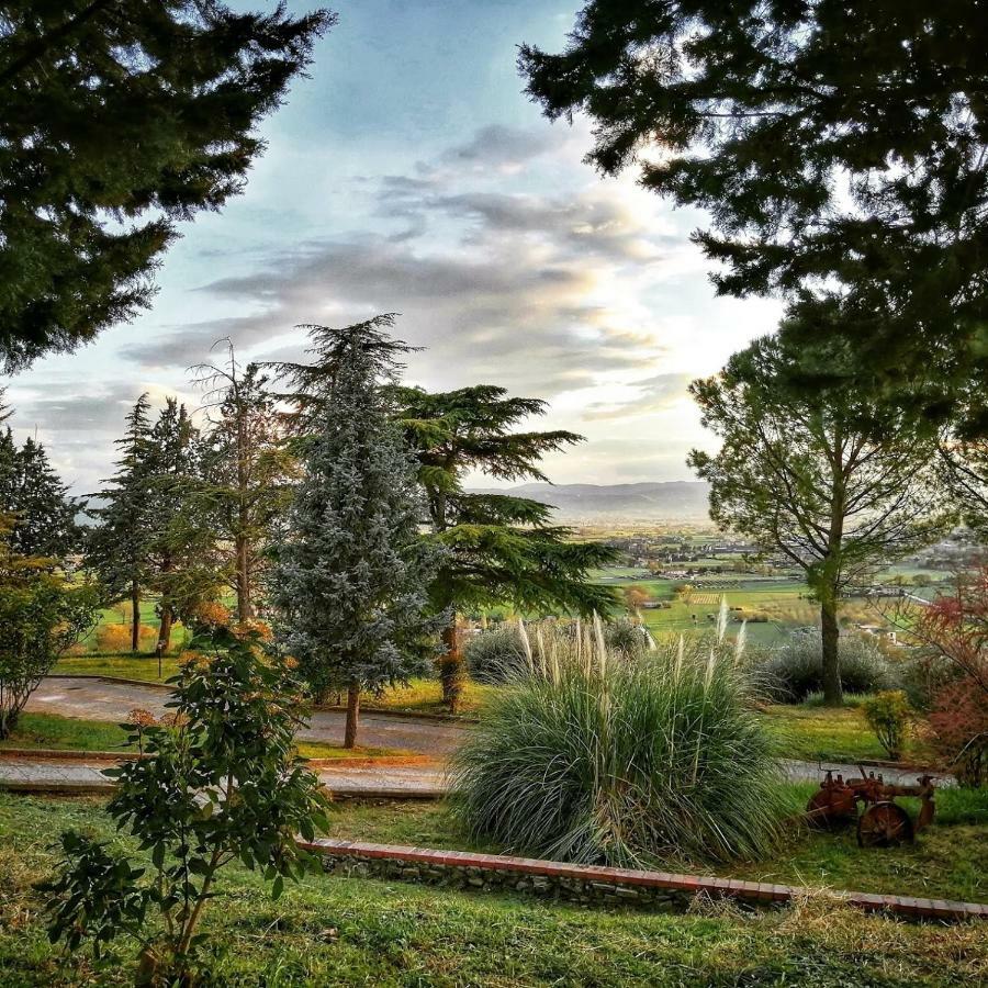 Casa Per Ferie Ulivo D'Assisi Villa Eksteriør billede