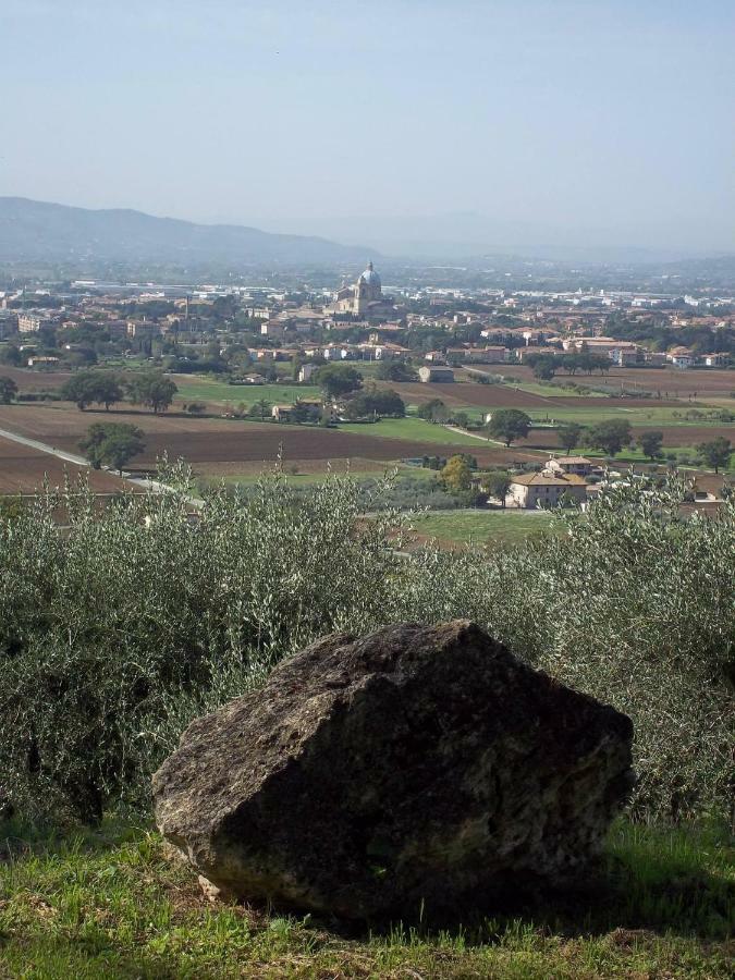 Casa Per Ferie Ulivo D'Assisi Villa Eksteriør billede