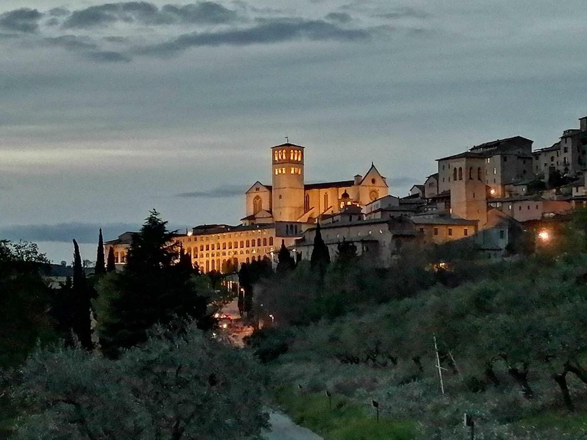 Casa Per Ferie Ulivo D'Assisi Villa Eksteriør billede